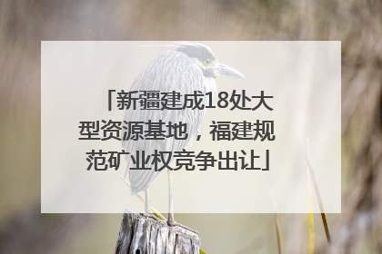 新疆建成18处大型资源基地，福建规范矿业权竞争出让